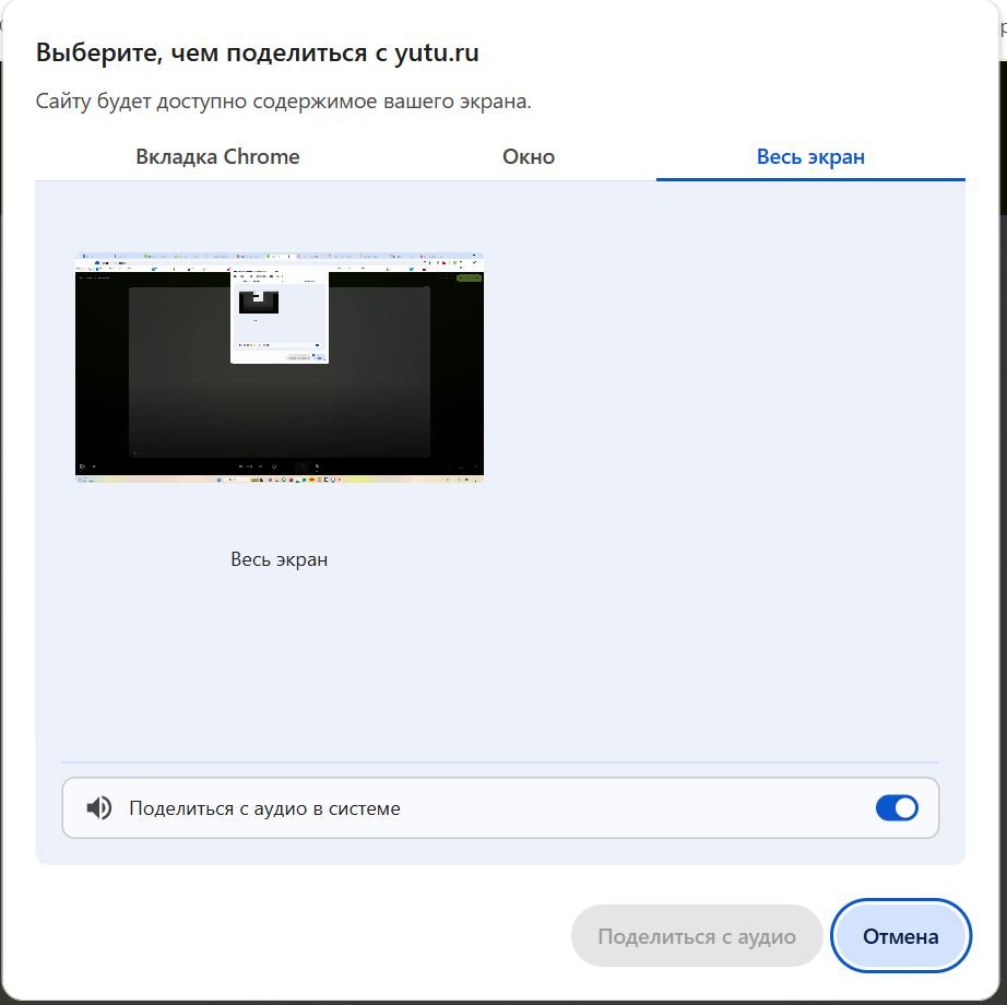 Раздел «Весь экран»: переключатель «Поделиться с аудио в системе» включён